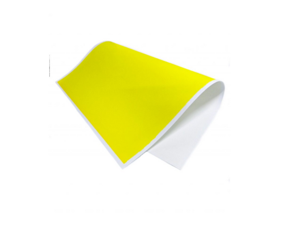 Papel Calipso 1/8