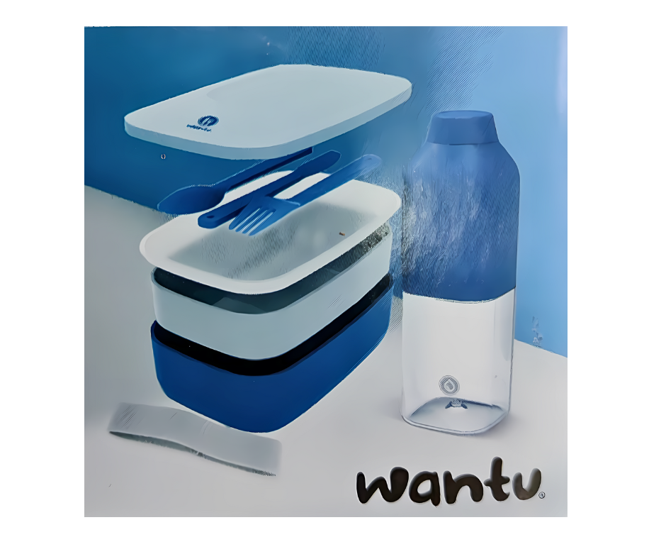 Set Lunch Bento