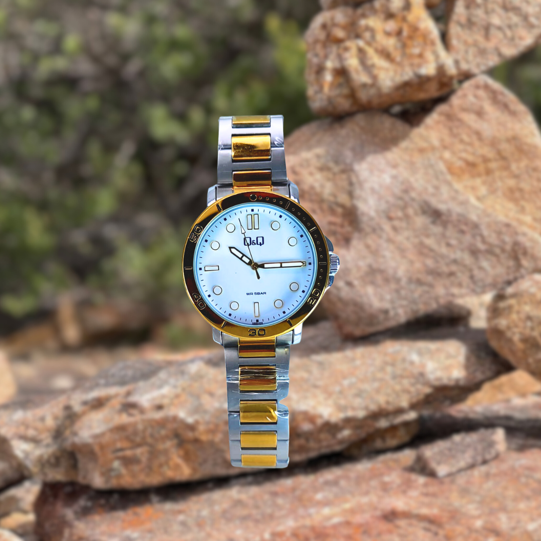Reloj Q&Q